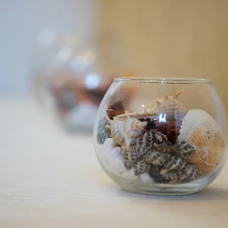 Your One And Only * Βελιγράδι